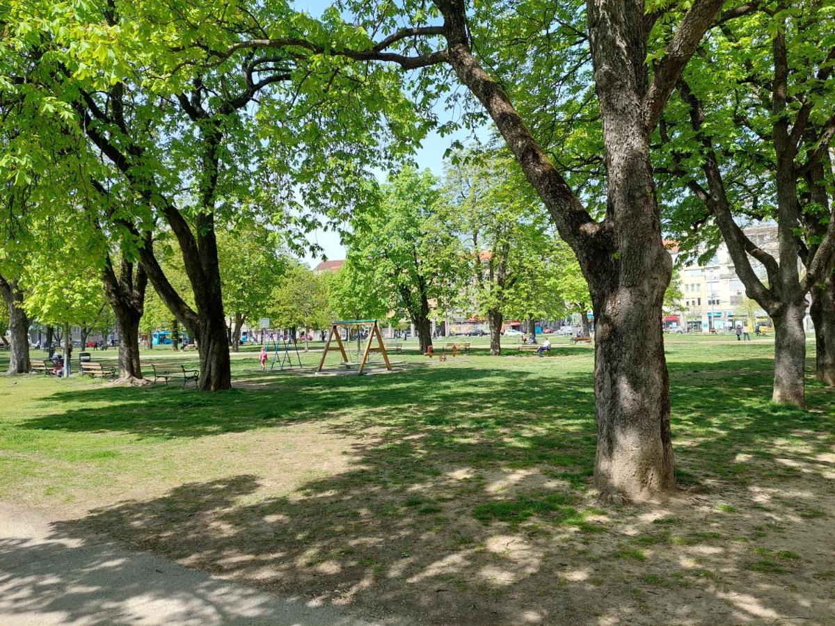 Ozzy Cozy Daire Zagreb Dış mekan fotoğraf